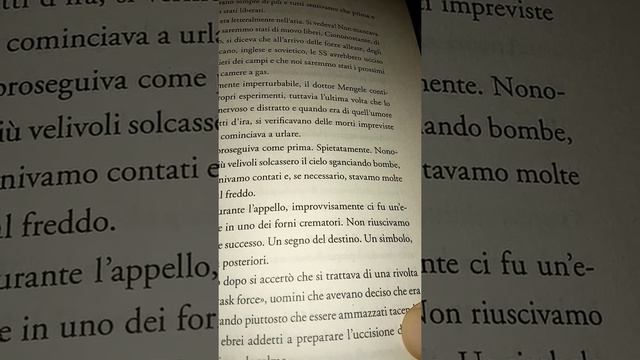 OGNI COSA A ESPOSIZIONE. Eva Mozes Kor. Ad Auschwitz ho imparato il perdono. 27 parte смотреть онлайн