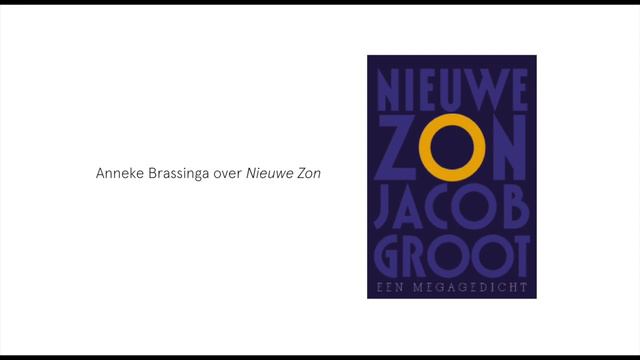 Perdu Leest Langzaam Anneke Brassinga