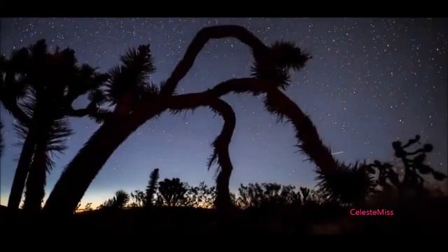 Flight Song (Flute: R. Carlos Nakai, Piano: Peter Kater)