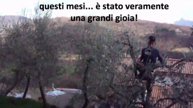 Un nonno meraviglioso смотреть онлайн