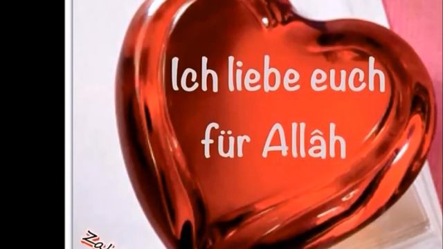 Madih - Schaykh Al-Harariyy 2014 | Ahbâsch | AICP/IVWP | Ahbâsch in Gronau | HD смотреть онлайн