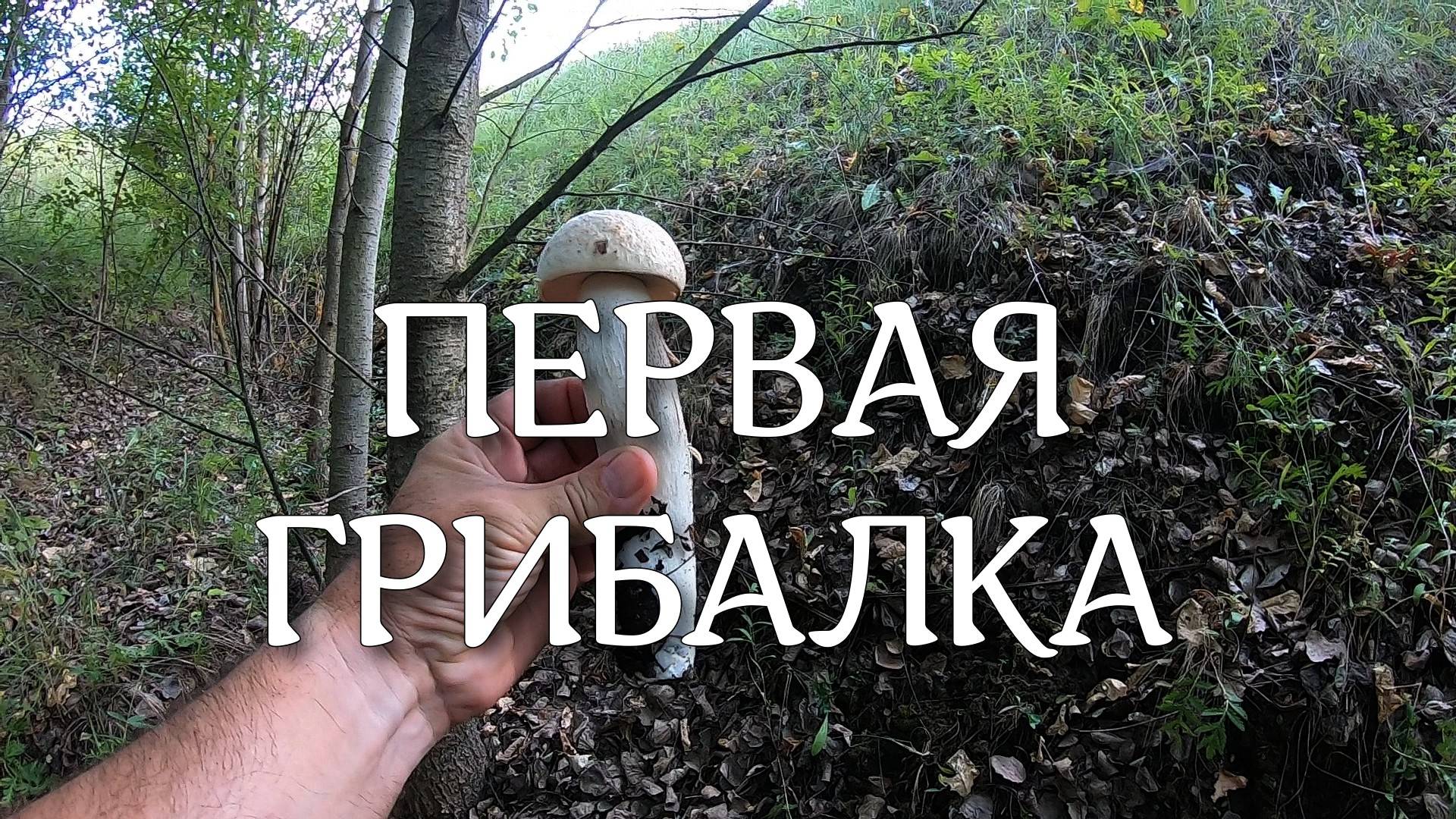 Первая грибалка смотреть онлайн