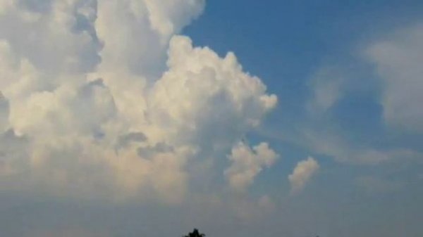 Carbon Based Lifeforms - Photosynthesis