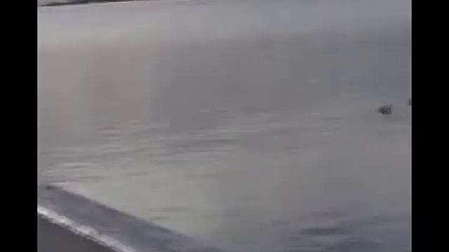 Altiero Spinelli and the European Constitution смотреть онлайн