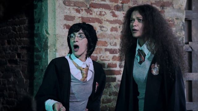 Henry Potter (et La Chambre Des Reliques Du Phénix Du Prisonnier Du Prince De La Mort...)