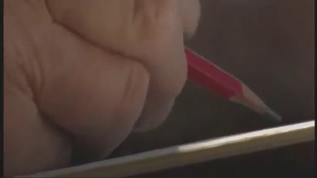 En Lillle Film Om Nisser