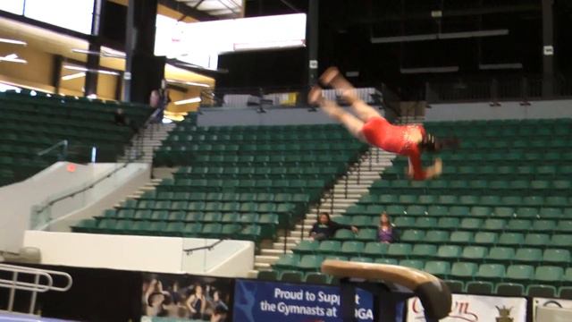 Pua Hall VT Optl. Elite Qual. 2011 WOGA CLASSIC.MTS смотреть онлайн