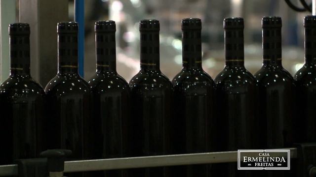 spot televisivo ermelinda freitas смотреть онлайн