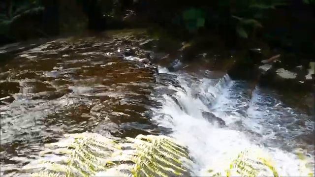 Living Free In My RV