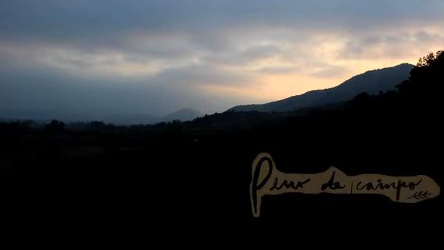 Gabriel Alcayaga - Perro De Campo (ep)