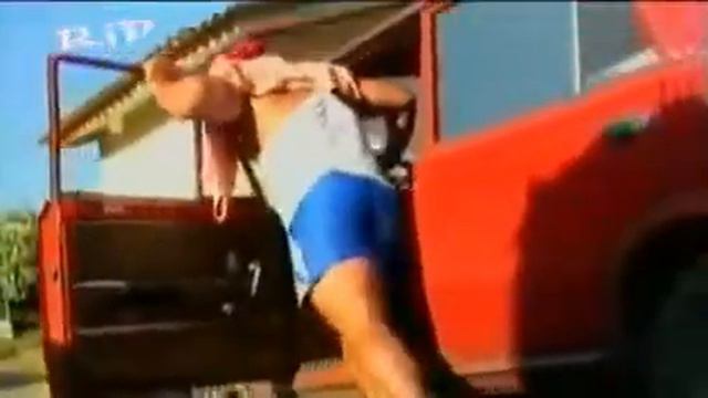 Радо шишарката - тигре тигре смотреть онлайн