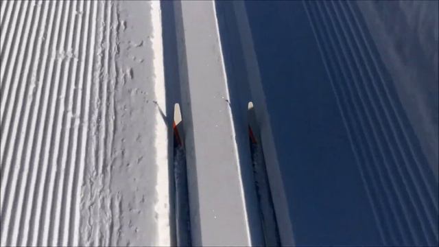 Tunturisatu Peurakangas