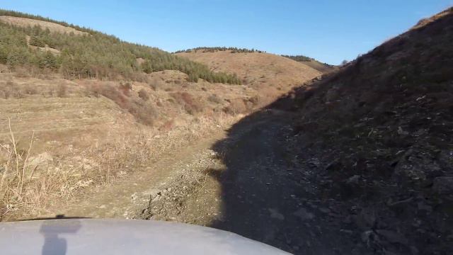 DEV SİYAH KURT SANKİ BİR HAYALET GİBİ GÖZÜKTÜ ! ( KURT KAPANI 1.BÖLÜM ) KANGAL, ANADOLU ÇOBAN KÖPEĞ смотреть онлайн