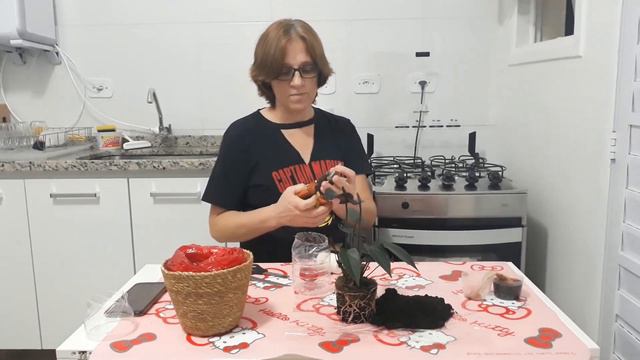 Eletiva Sustentabilidade, Professora Beth смотреть онлайн