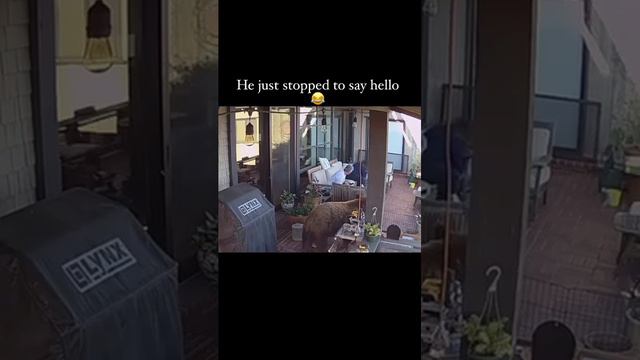 прикол смотреть онлайн