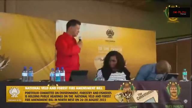 Public Hearings: National Veld And Forest Fire Amendment Bill, Moses Kotane Local Municipality 28… смотреть онлайн