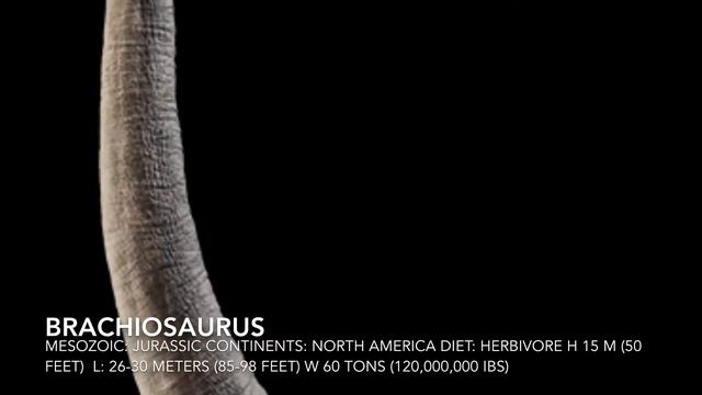 Jurassic Park Dinosaurs species on (1993)🦖🦕🌎🎮🍿🎬🎞🎥 смотреть онлайн