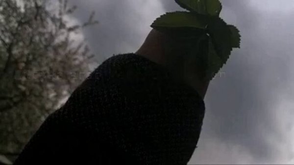 икболи худат бош!