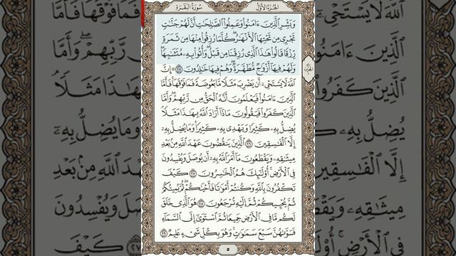 Анас Хибри «Аль-Бакара» 25-29 смотреть онлайн