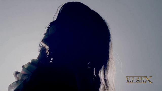 Laurent Wolf - No Stress (SKYLORX RMX) VJ AuX смотреть онлайн