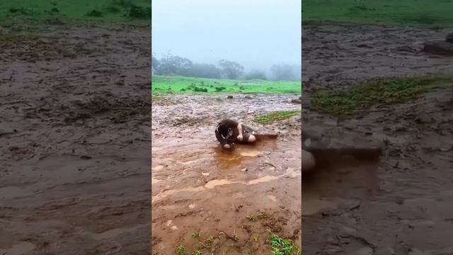 НЕУДАЧНЫЕ МОМЕНТЫ смотреть онлайн