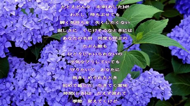 瞬く気持ち／日高のり子／歌詞付き Relaxing Music