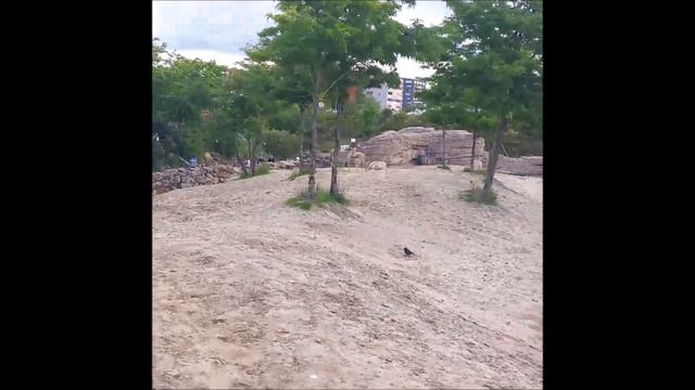 Emmen1 2020 смотреть онлайн