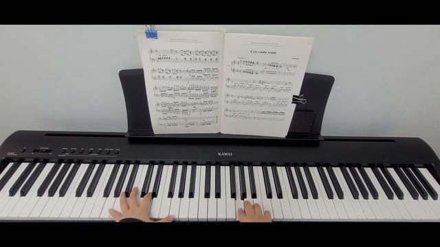 Сэтгэлийн эгшиг - Б.Шарав Төгөлдөр хуур