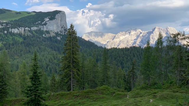 Hohe Tannen Weisen Die Sterne - Volksweise- Instrumental Von Dr. Ludwig - Gesang Von Klaus JB