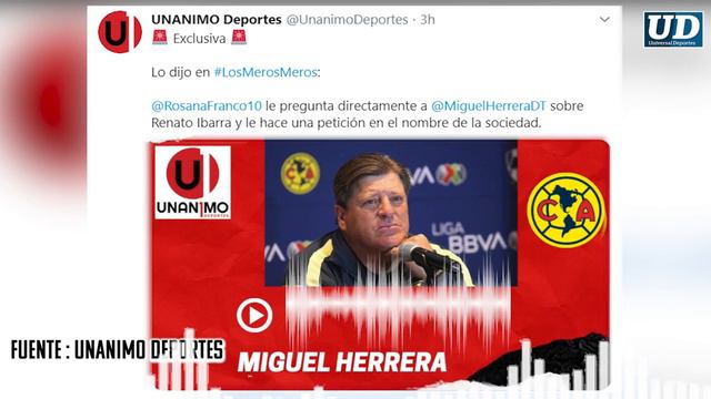 Piden a Miguel Herrera no aceptar a Renato Ibarra por violencia doméstica смотреть онлайн