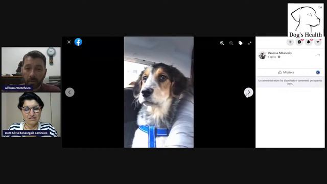 #scopriilmeticcio con Alfonso Montefusco смотреть онлайн