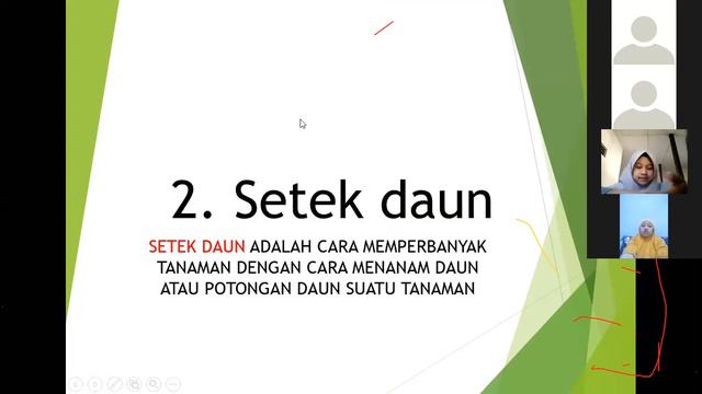 ZOOM VEGETATIF BUATAN SESI 1 смотреть онлайн