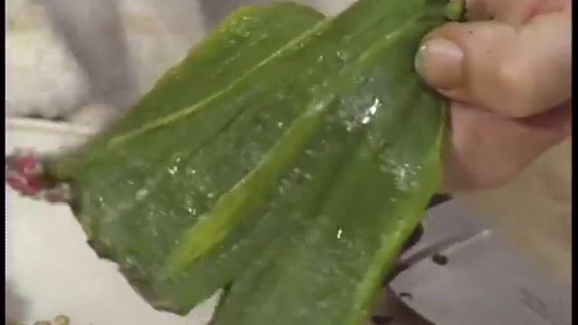 Grilled Squab with Black Bean Torta by Robert Del Grande смотреть онлайн