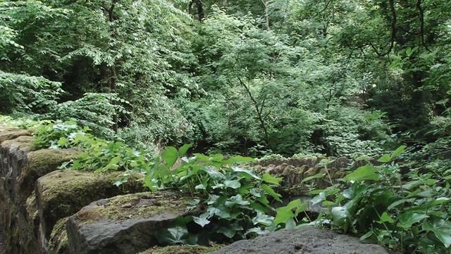 Jesmond Dene - Armstrong's Splendid Gift смотреть онлайн