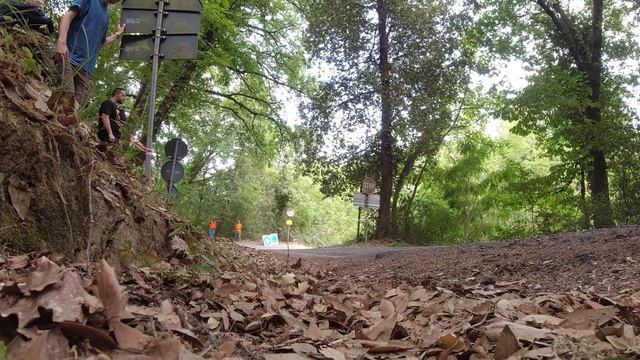 Rally di Reggello 2022 - PS6 смотреть онлайн