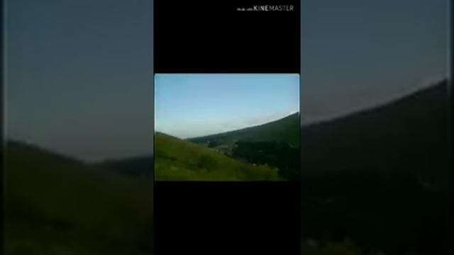 Сангимад шарфов