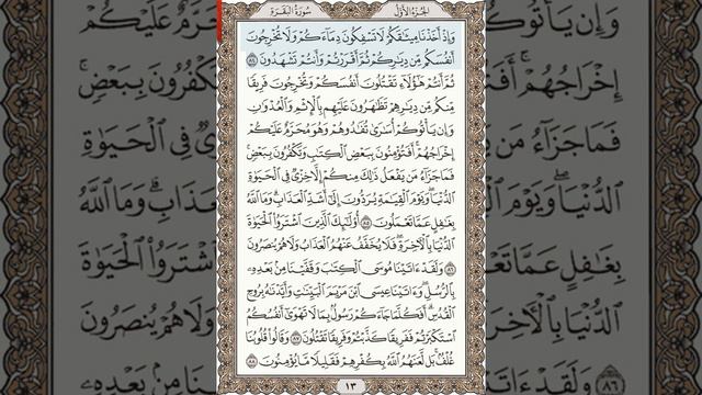 Анас Хибри «Аль-Бакара» 84-88 смотреть онлайн