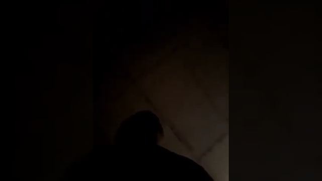 srdjan i mirko parfemi смотреть онлайн