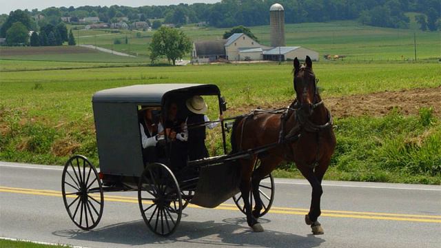 Amish | Wikipedia audio article смотреть онлайн
