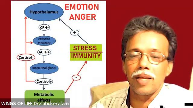 INTRODUCTION TO TRANSACTIONAL ANALYSIS, TA , By Dr.Sabukeralam,WINGS OF LIFE KOTTAYAM