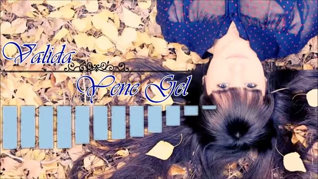 Valida Salayeva - Yene gel ( Sabina Babayeva ) смотреть онлайн