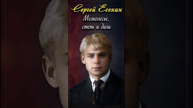 Мелколесье, степь и дали - Сергей Есенин (читает Расул Давлетов) #shorts смотреть онлайн