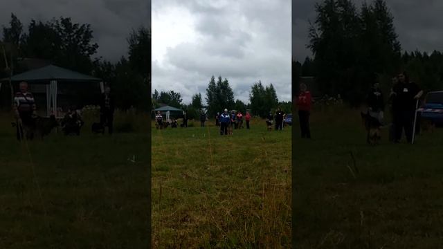 ЗБ Де Бюсси смотреть онлайн