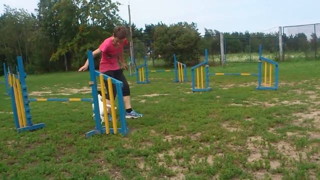 Саевец Светлана, Хомса и Бекки 14.07.16 смотреть онлайн