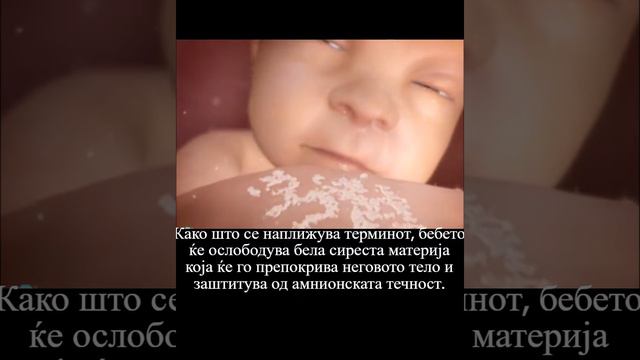 Развој на бебето од 28 ма до 37 ма недела смотреть онлайн