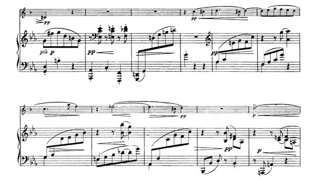 M. Reger - Sonata Per Clarinetto E Pianoforte Op. 49 N. 1 - G. Garbarino Cl., P. N. Masi Pf.