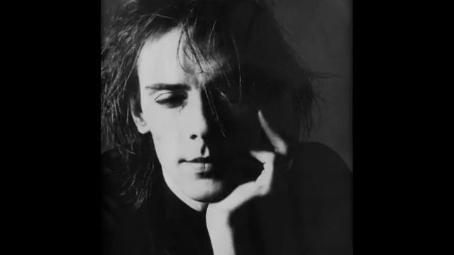 Peter Murphy - Big And Tiny [Live]