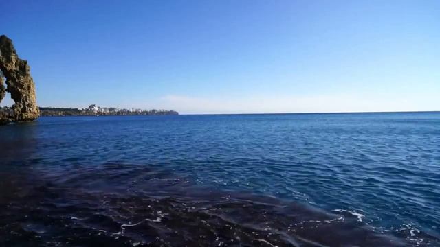 #আদি #আদমের # গাছ জানে না তার ফলের সাধের খবরকাদের #জন্ম ছিল ,#gac #jane Na Tar #foler Sader Kobor