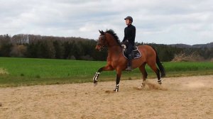 Springning  Søren Andersen