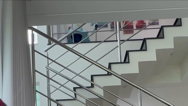 24 HORAS IGNORANDO O ENALDINHO *ele surtou смотреть онлайн